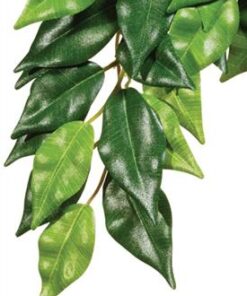ExoTerra Ficus Silkiplanta