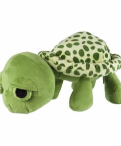 Skjaldbøka við ljóð