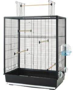 Primo 60 Empire Knockdown 80x50x115 cm