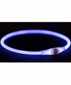 Flash Light Hálsreim USB Blá