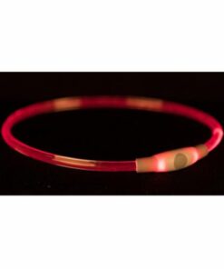 Flash Light Hálsreim USB Multi