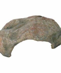 Reptil Hule, 30×25×10 cm