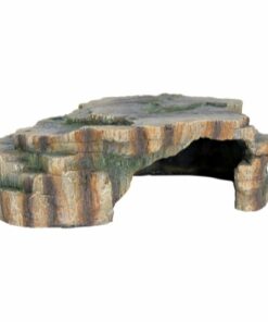 Reptile cave