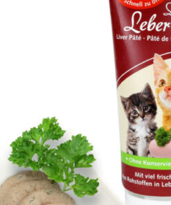 Livur pate ketta