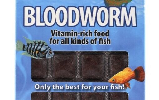 Bloodworm