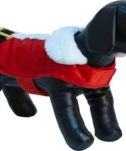 Jólaklæðir til hund