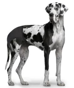 Løbetidsbuks 50-59cm XL