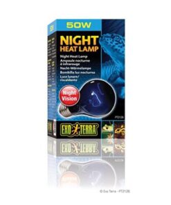 Night Glo 50W