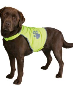 Safety waistcoat medium