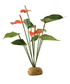 ExoTerra Anthurium Bush