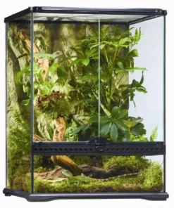 ExoTerra Terrarium 45 x 45 x 60 cm.