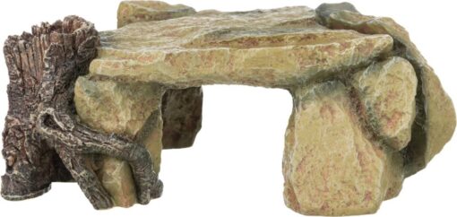 Rock plateau w/ tree stump