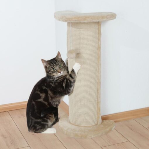 Scratching Post for corners