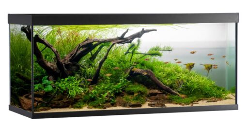 AkvaStabil ELEMENT Akvarium - 240 liter