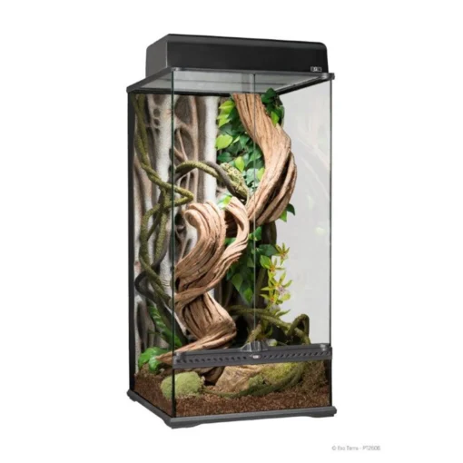 ExoTerra Terrarium 45 x 45 x 90 cm. (Rainforest)