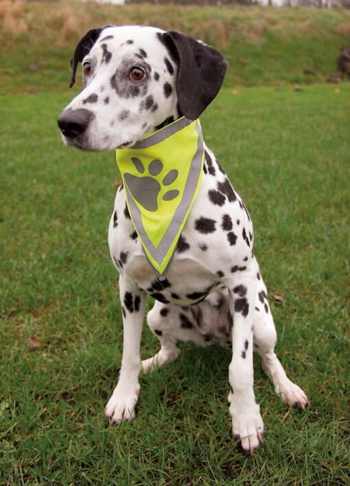 Bandana, reflective L-XL