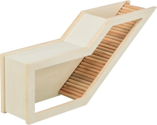 Watchbox Tunnel 36x17cm