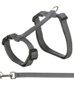 Cat set W/lead - Big Cats