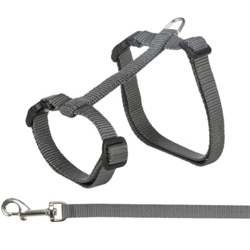 Cat set W/lead - Big Cats