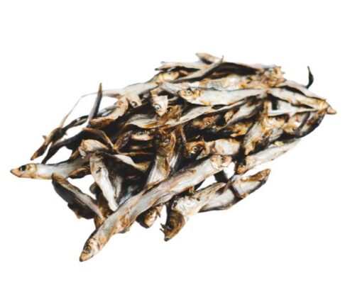 Ocean Treats Fiskapopp 120g