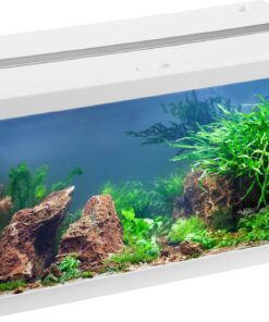 Eheim AquaStar