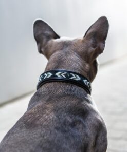 Catago Viben Leather Collar