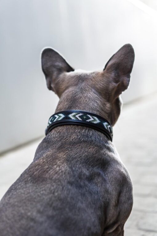 Catago Viben Leather Collar