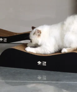 Alternative view of D&D CAT ARCHIE KradseLounge