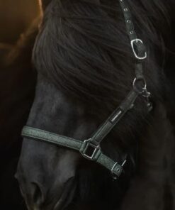 TOPREITER Grime Glitrandi Green