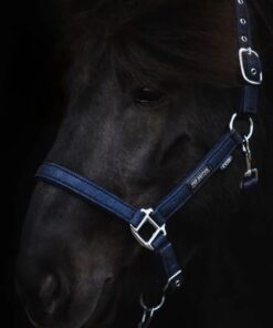 TOPREITER Grime Glitrandi Blue