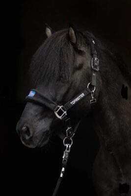 TOPREITER Klaki Grimesæt Iceland Black