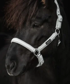 TOPREITER Grime Glitrandi Silver