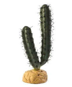 Fingerkaktus Ökenväxt Exoterra
