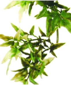 Croton L Plastväxt Exoterra