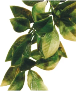 Mandarin L Plastväxt Exoterra