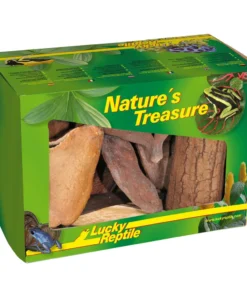 Dekorationsbox Nature's Treasure