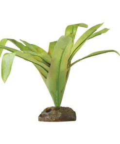 BROMELIA M